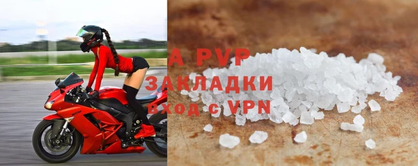 стаф Богородицк