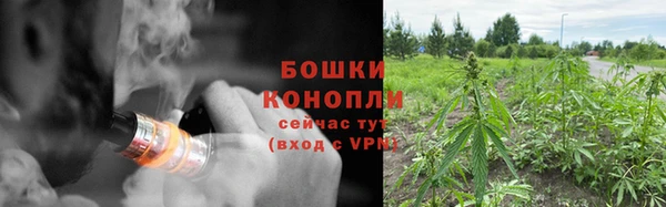 стаф Богородицк