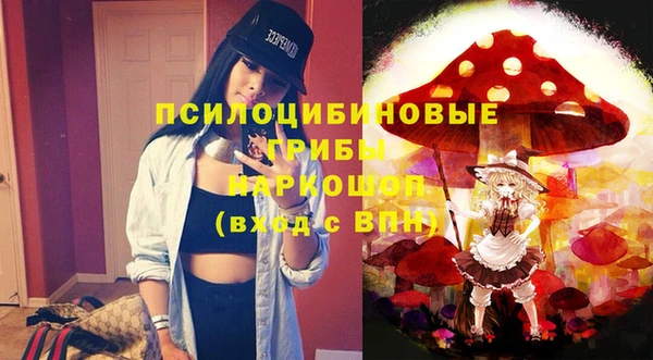 первитин Богородск