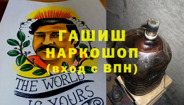 гидра Верхний Тагил