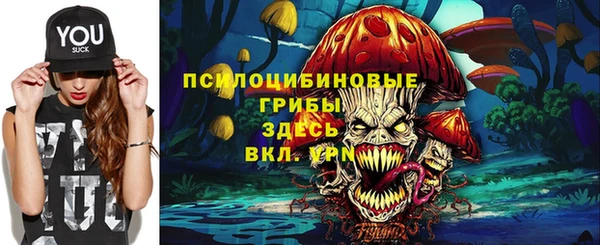 бошки Бронницы