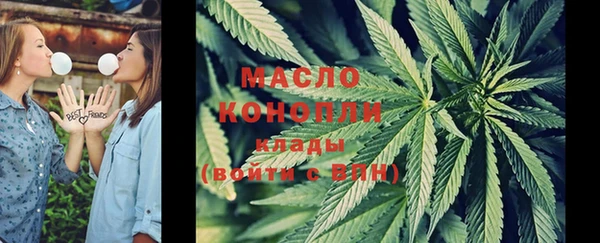 стаф Богородицк