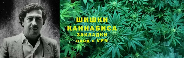 стаф Богородицк